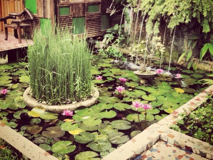 The Lotus Garden Bed & Breakfast Puerto Princesa Eksteriør bilde